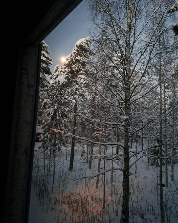 Room In Polar Circle Рованиеми Екстериор снимка